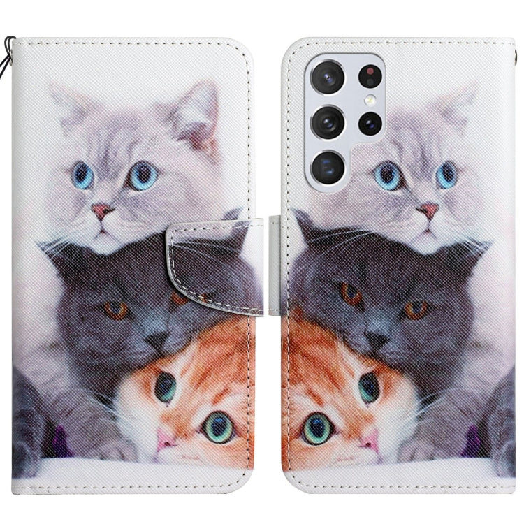 Painted Pattern Horizontal Flip Leather Phone Case, For Samsung Galaxy S22 5G, For Samsung Galaxy S22+ 5G, For Samsung Galaxy S22 Ultra 5G