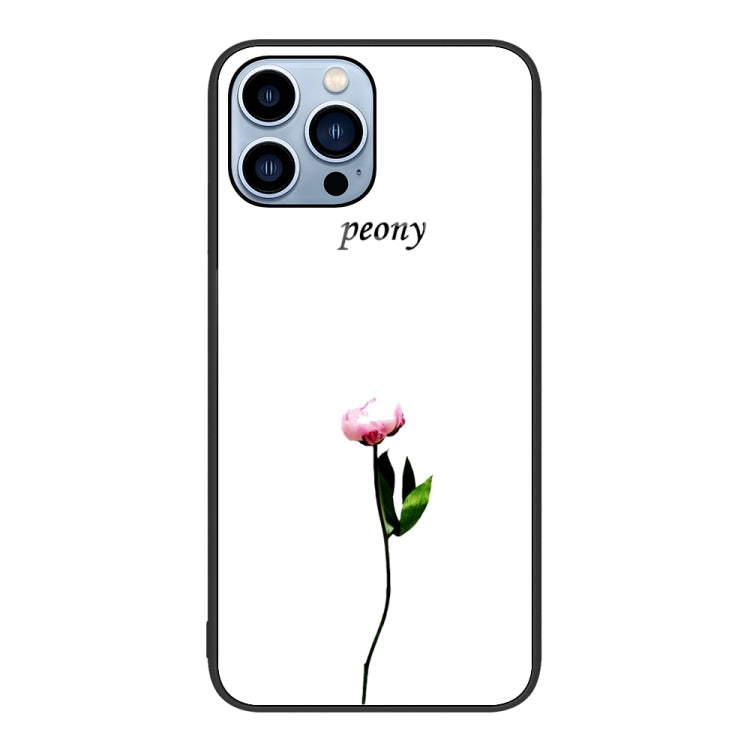 Colorful Painted Glass Phone Case, For iPhone 14, For iPhone 13 Pro Max, For iPhone 13 Pro