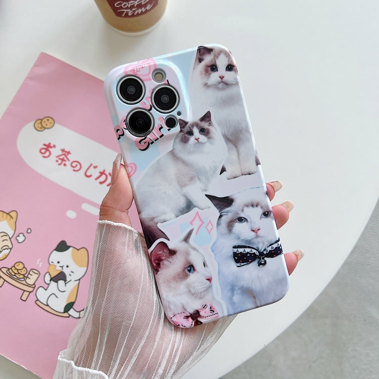PC Phone Case, For iPhone 14 Pro Max, For iPhone 14 Pro, For iPhone 14, For iPhone 14 Plus, For iPhone 13 Pro Max, For iPhone 13 Pro