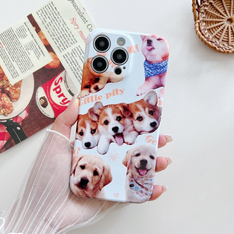 PC Phone Case, For iPhone 14 Pro Max, For iPhone 14 Pro, For iPhone 14, For iPhone 14 Plus, For iPhone 13 Pro Max, For iPhone 13 Pro