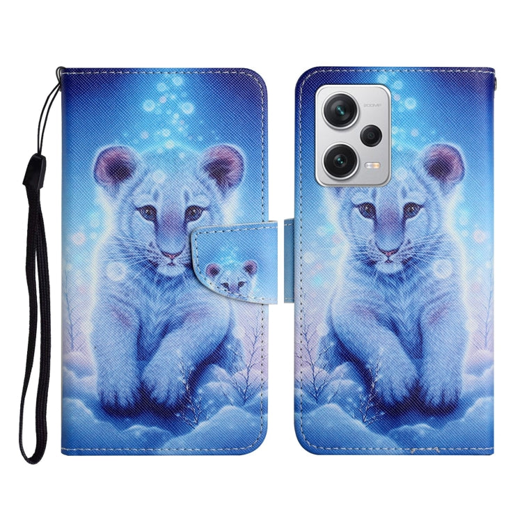 Colored Drawing Pattern Flip Leather Phone Case, For Xiaomi Redmi Note 12 Pro 5G/Poco X5 Pro