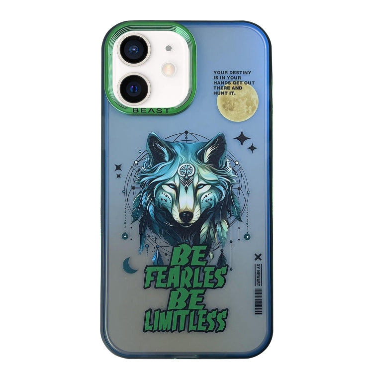 Aurora Series Painted Pattern Phone Case, For iPhone 13, For iPhone 12, For iPhone 12 Pro Max, For iPhone 12 Pro, For iPhone 11