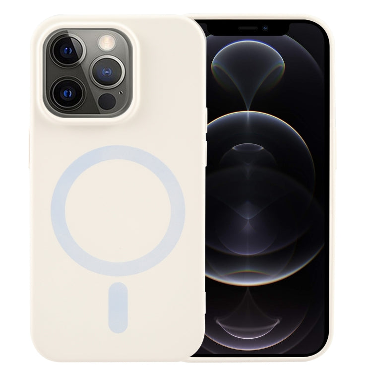 MagSafe Liquid Silicone Phone Case, For iPhone 12 Pro, For iPhone 11 Pro Max, For iPhone 11, For iPhone 11 Pro