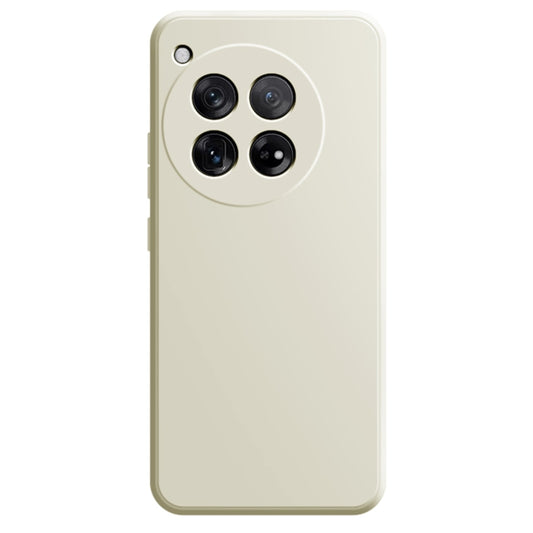 Imitation Liquid Silicone Phone Case, For OnePlus 12