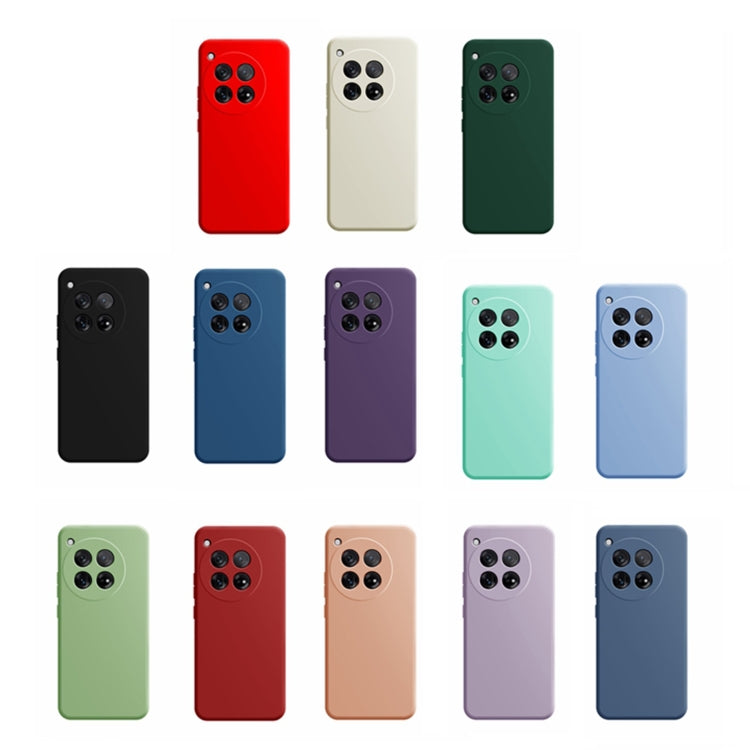 Imitation Liquid Silicone Phone Case, For OnePlus 12