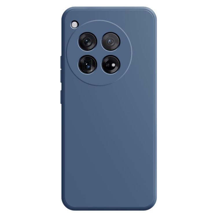 Imitation Liquid Silicone Phone Case, For OnePlus 12