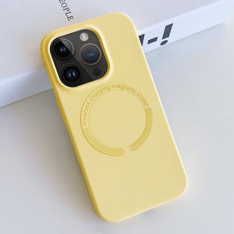MagSafe Magnetic Liquid Silicone Phone Case, For iPhone 13 Pro Max, For iPhone 13 Pro, For iPhone 13, For iPhone 12