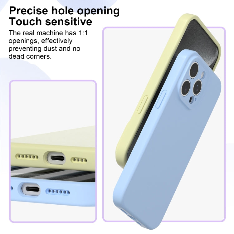 Precise Hole Liquid Silicone Jelly Color Full Coverage Phone Case, For iPhone 13 Pro Max