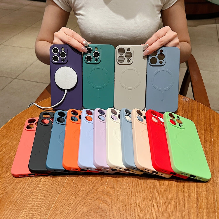 Solid Color Liquid Silicone MagSafe Magnetic Phone Case, For iPhone 13 Pro, For iPhone 13, For iPhone 12