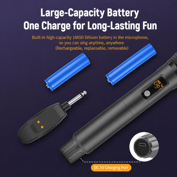 G109 2 in 1 Anti-Feedback 2.4G Wireless Handheld Microphone