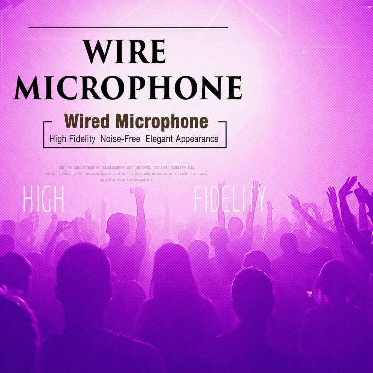 YS-102 Separate Wired Dynamic Microphone, 6.35mm