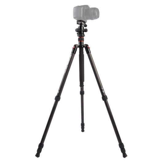 Triopo GT-2504X8.C Adjustable Portable Carbon Fiber Tripod with B-1 Aluminum Ball Head for Canon Nikon Sony DSLR Camera, GT-2504X8.C (Black), GT-2504X8.C (Gold)
