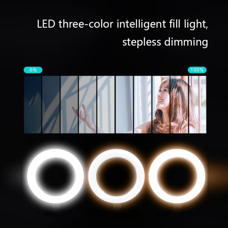 FP-10 Desktop Multi-Function Photography Support Phone Live Stand LED Fill Light, Specification:, Desktop Bracket + Phone Clip