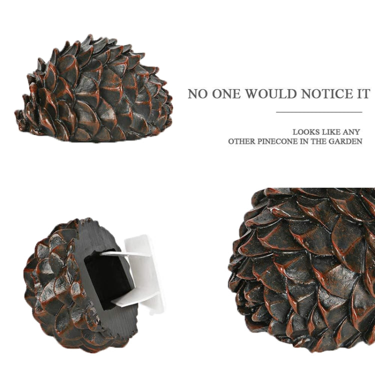 Simulated Stone Pine Nut Safe Key Box For Hiding Private Money, Stone